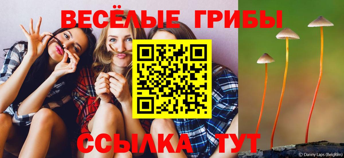 Канабис  Канабис  Пенза  КОКАИН  МЕТ  Вход с VPN  Меф МЯУ МЯУ кристаллы  ГАШ  ГАШИШ 